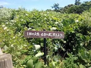 开局我在天堂任职死神 动态漫画,一段奇幻与正义的漫画之旅 第3张 开局我在天堂任职死神 动态漫画,一段奇幻与正义的漫画之旅 第3张