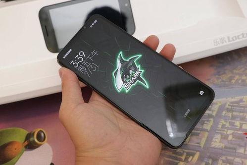 翻页者,揭秘书籍背后的秘密世界  第2张