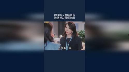 新人整顿职场记,从迷茫到崛起的蜕变之路