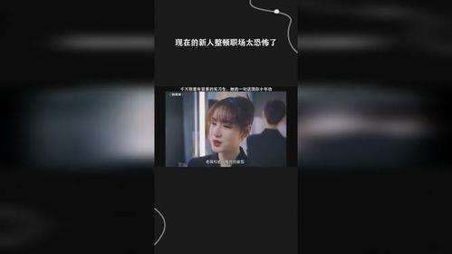 新人整顿职场记,从迷茫到崛起的蜕变之路 第3张 新人整顿职场记,从迷茫到崛起的蜕变之路 第3张