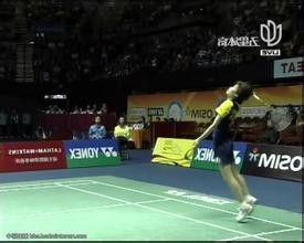 极限S:羽毛球篇,羽毛球竞技巅峰对决 第2张 极限S:羽毛球篇,羽毛球竞技巅峰对决 第2张