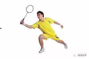 极限S:羽毛球篇,羽毛球竞技巅峰对决 第3张 极限S:羽毛球篇,羽毛球竞技巅峰对决 第3张