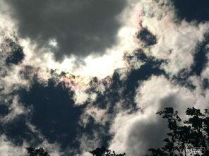 食尽人间烟火色,探寻美食背后的文化韵味 第3张 食尽人间烟火色,探寻美食背后的文化韵味 第3张