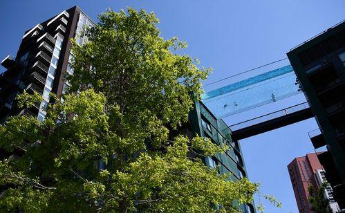 伦敦水池,历史悠久的城市绿洲与休闲胜地  第3张